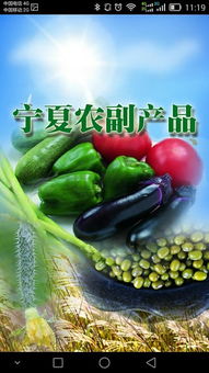 寧夏農副產品“下載”指南 特色、渠道與品牌數字化之路